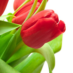 Similar image 545027