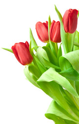 Similar image 545030