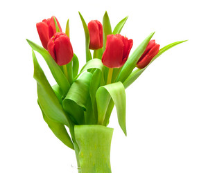 Similar image 545031