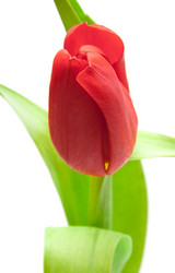 Similar image 545040