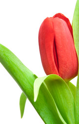 Similar image 545043