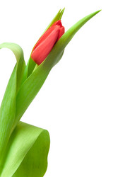 Similar image 545047