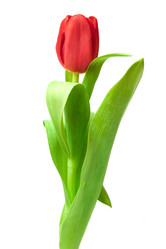 Similar image 545048