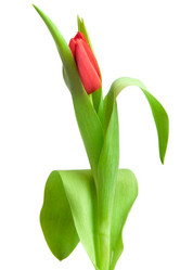 Similar image 545049