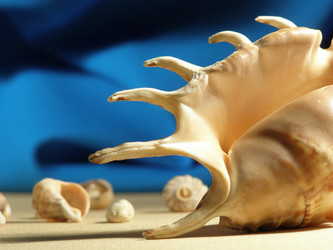 Similar image 545074