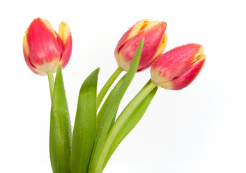 Similar image 545107