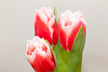 Similar image 545113