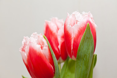 Similar image 545114