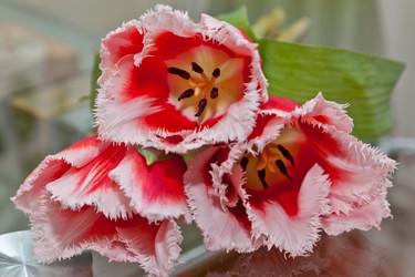 Similar image 545115