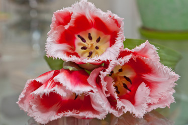 Similar image 545116