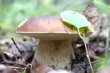 Similar image 545120