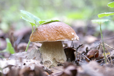 Similar image 545121