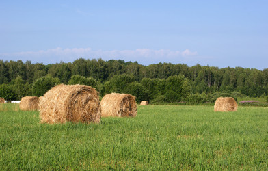 Similar image 545146