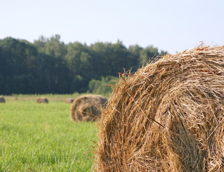 Similar image 545148