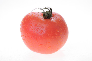 Similar image 545178