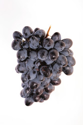 Similar image 545182