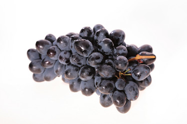 Similar image 545184