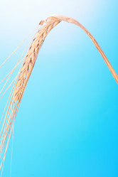 Similar image 545187