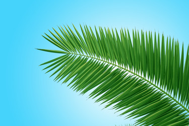 Similar image 545198