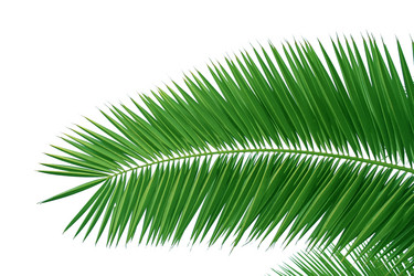 Similar image 545199