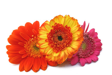 Similar image 545202