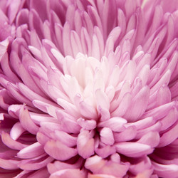 Similar image 545203