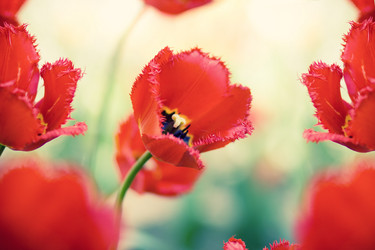 Similar image 545205