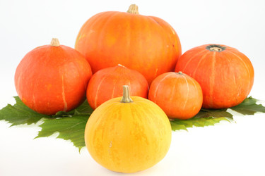 Similar image 545207