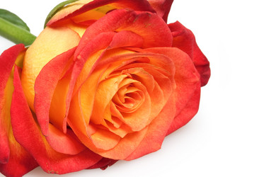 Similar image 545208