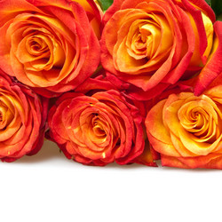 Similar image 545211