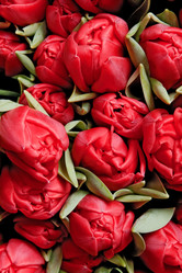 Similar image 545213