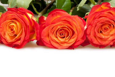 Similar image 545214