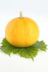 Similar image 545217