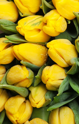 Similar image 545218