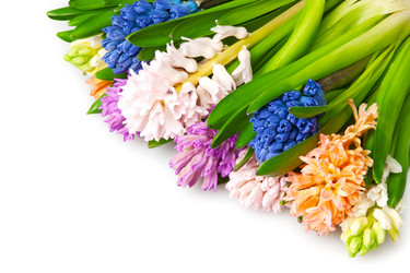 Similar image 545220