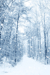 Similar image 545250