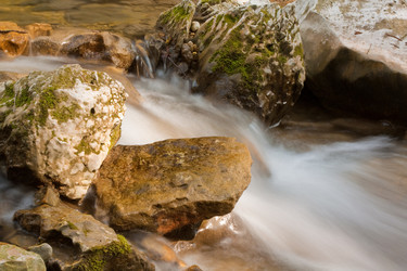 Similar image 545262