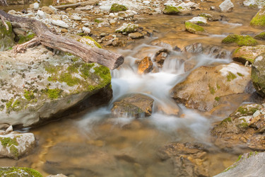 Similar image 545266