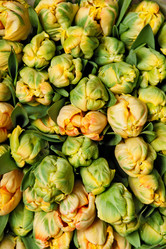 Similar image 545268