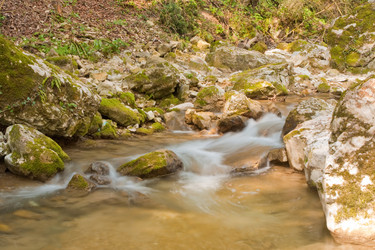 Similar image 545270