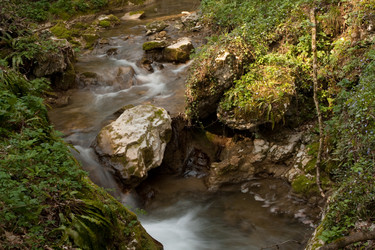 Similar image 545272