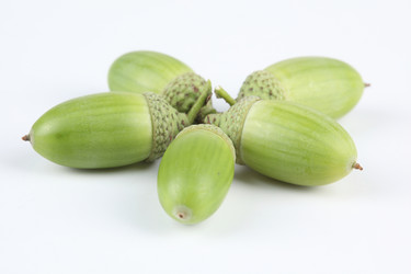 Similar image 545317