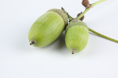 Similar image 545316