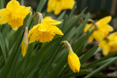 Similar image 545318