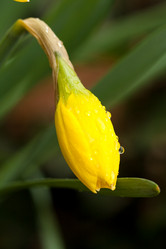 Similar image 545320