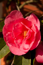 Similar image 545325