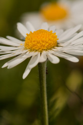 Similar image 545328