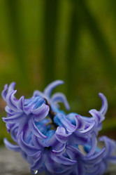 Similar image 545331