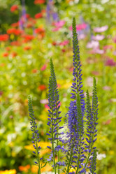 Similar image 545333