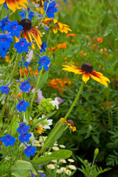 Similar image 545340